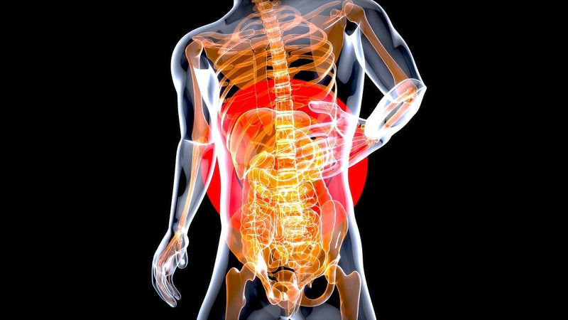The Best and Worst Foods for Optimal Gut Health