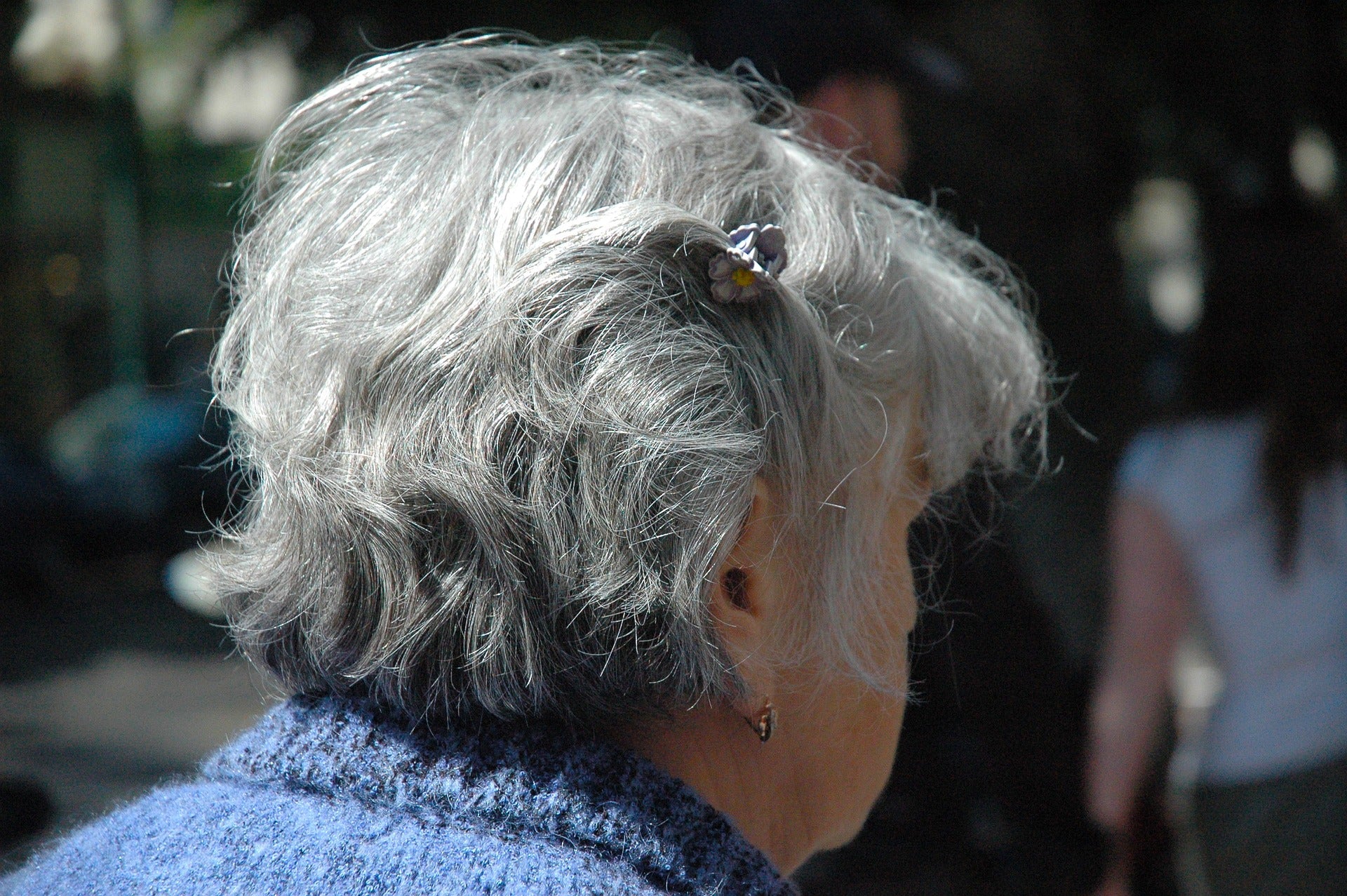 An image of an old woman's grey hair.
