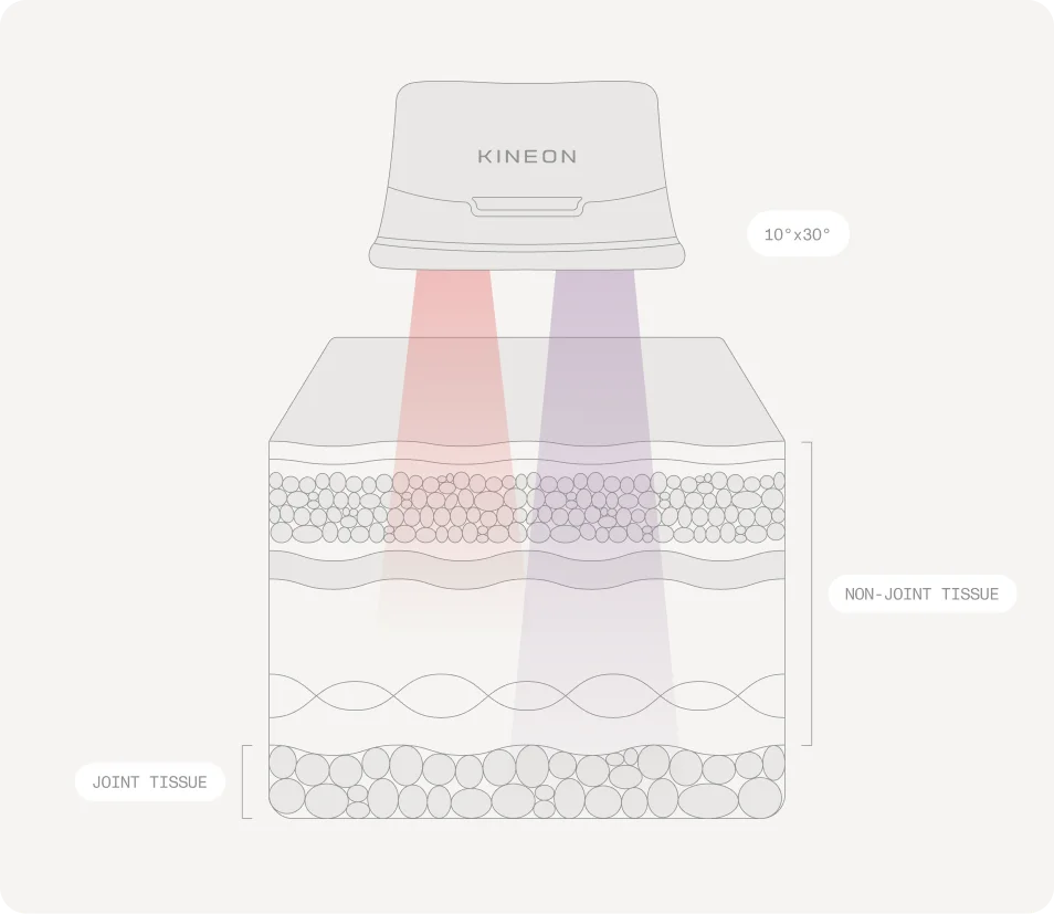 Cross-section of skin showing how MOVE+ light reaches the tissue beneath
